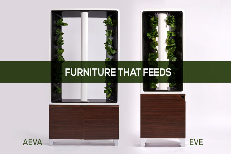 INTRODUCING JUST VERTICAL! Indoor Home Gardening resulting in 5 minutes of work a week!