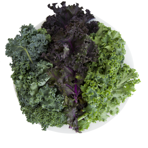 Kale Powered Greens for the AEVA and EVE Indoor Garden System