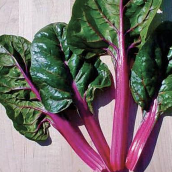 Various Leafy Green Seed Pods for the AEVA and EVE Indoor Gardening Systems