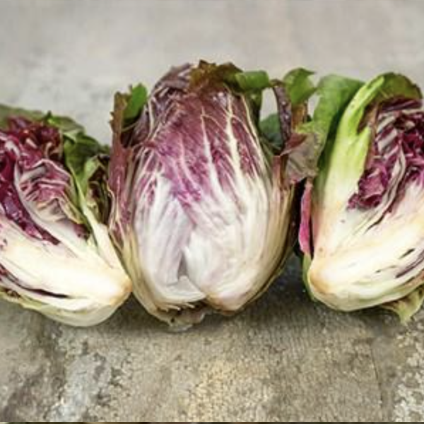 Various Leafy Green Seed Pods for the AEVA and EVE Indoor Gardening Systems