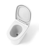 Cinderella Incinerating Urinal